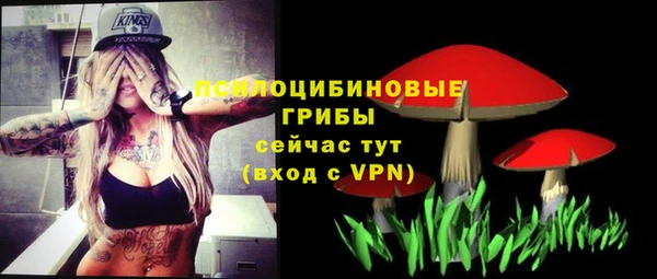 сатива Алексин