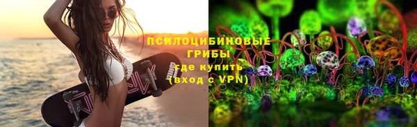 сатива Алексин
