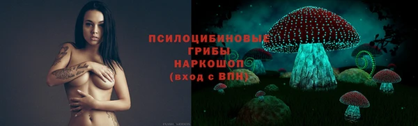 сатива Алексин